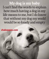 True I Miss My Stretch Still To This Day I Love Him Beyond Words Dogsquotes Dog Quotes Dog Love Dogs
