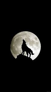 Ma32 Wolf Howl Animal Dark Minimal Nature Wolf Wallpaper Wolf Moon Wolf Images