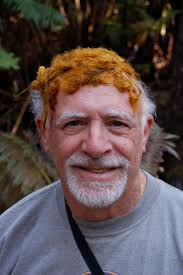 Daniel Pincu Obituary (2020)