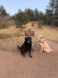 How do i make my dog happy. Hikes To Make My Dog Happy Home Facebook