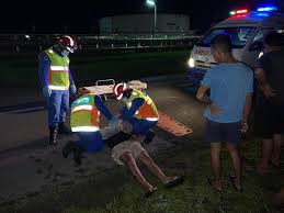 Driver in Miri injured after crashing car to avoid hitting dog | Borneo  Post Online