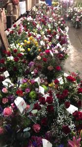 Maybe you would like to learn more about one of these? Oak Creek Plants Flowers Home Facebook