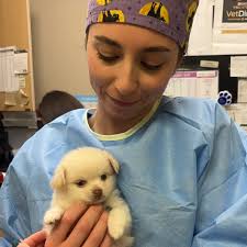 Heartland Veterinary Partners (@heartlandvetpartners) • Instagram photos  and videos