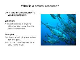What Are Natural Resources Ppt Video Online Download