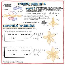 Complex Hybrid Orbitals Educational Science Graphics Doodles In The Membrane Educational Infographic Chemistry Organic Chemistry
