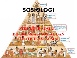 Sosiologi Struktur Sosial Diferensiasi Sosial Dan