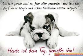 Kreative Gluckwunsche Zum Geburtstag Spruche Geburtstag Lustig Geburtstag Lustig Geburtstag Wunsche