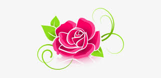 Check spelling or type a new query. Rose Graphic Flower Deco Decorative Floral Grupo Rosa De Saron Free Transparent Png Download Pngkey