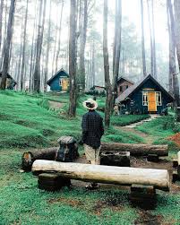 Instagram Photo By Earth Official Jun 7 2016 At 7 26pm Utc Cabins In The Woods West Java Jungle House