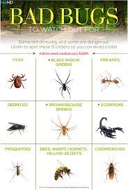 Pin On Webmd Tips And Special Reports