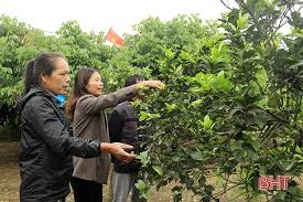 Nữ trưởng thôn góp công biến “điểm nóng” thành khu dân cư kiểu mẫu ở xã  miền biển Hà Tĩnh