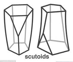 Scientists Spot New Shape 3d Form Called Scutoid Lets
