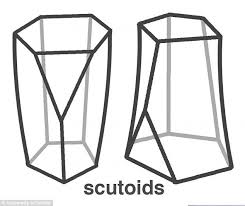 scientists spot new shape 3d form called scutoid lets