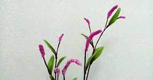 红蓼花开 中草药系列 丝网花园 丝网花园 新浪博客 丝网花园 果实入药 名 水红花子 有活血 止痛 消积 利尿功效 blog pendants plants