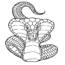 Maybe you would like to learn more about one of these? King Cobra Deadly Attack Coloring Pages Kids Play Color Snake Coloring Pages Snake Drawing Animal Coloring Pages
