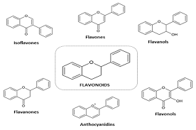 Image result for Pimpinella sp. A. of FZ 4: 594