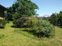 Bird Netting For Blueberries Lowes Blueberry Bush Bird Barrier Rebar Anchoring 20 Ft Pex Bird Netting And 2 Notebook Rings All Reusable Next Year Blueberry Bushes Bird Netting Garden Arch