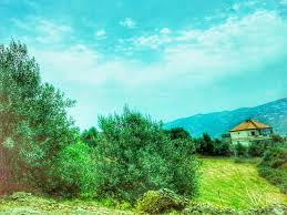 Tizi ouzou (in ern part of kabylia). Tigzirt Tizi Ouzou Algeria 800x600 Places Picked By Brani