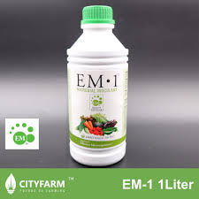The typographic em is named after the metal type for the capital m in early printing, whose body was square (the printed letter m is almost never one em in width). Em Em 1 Effective Microorganisms 1 Liter Shopee Malaysia