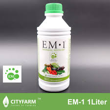 Therefore, this unit is the same for all typefaces at a given point size. Em Em 1 Effective Microorganisms 1 Liter Shopee Malaysia