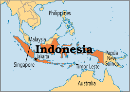 Imperialism Project Dutch East Indies Timeline Timetoast Timelines