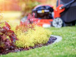 Choosing the right grass seed for the right situation is critical for establishing and maintaining a beautiful lawn. The Best Year Round Lawn Care Schedule This Old House