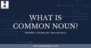 However, noun is not a semantic category, so it cannot be characterized in terms of its meaning. What Is A Common Noun Definition Examples Best Guide 2021