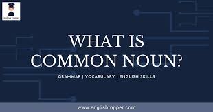 People's names, like alex or marry, are nouns too! What Is A Common Noun Definition Examples Best Guide 2021