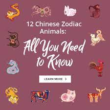 The ox, a straight and narrow animal, believes that people should do what is asked of them and that they should stay within their boundaries. 2021 Monthly Horoscope For Goats