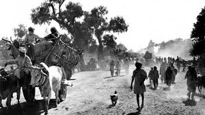 Image result for colonial british army in india