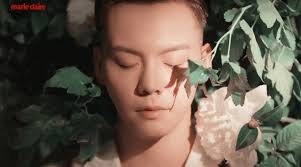 william chan gif marie claire china dec 2018 magazine photoshoot video cr rimgachoi 陳偉霆 陈伟霆 ウィリアム photoshoot video marie claire magazine scene photo