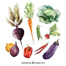 Download Watercolor Vegetables For Free Watercolor Food Vegetable Drawing Watercolor Illustration