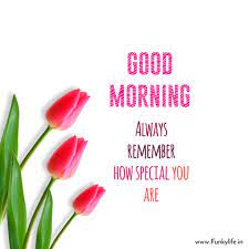 We did not find results for: 250 Good Morning Images Pictures Beautiful Morning Wishes 2021