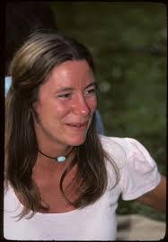 Jim Bies's Instagram, Twitter & Facebook