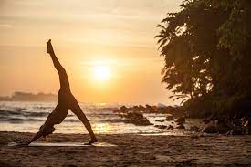 Check spelling or type a new query. Sri Lanka Retreat Pure Yoga Tasmania