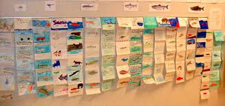 Salmon Life Cycle Accordion Books Animal Life Cycles Science Life Cycles Fish Life Cycle