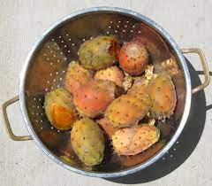 We did not find results for: Low Sugar Prickly Pear Jelly Recipe Root Simple
