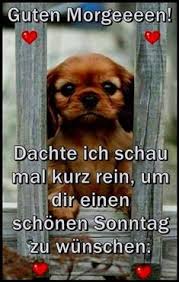 Falls auch sie auf facebook aktiv sind, können sie schöne sonntagsbilder mit ihren freunden teilen. Sonntag Lustig Bilder Gb Bilder Gb Pics Gastebuchbilder Guten Morgen Lustig Lustige Guten Morgen Bilder Sonntag Bilder Lustig
