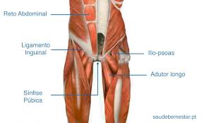 Pubalgia O Que E Causas Sintomas Tratamento Recuperacao