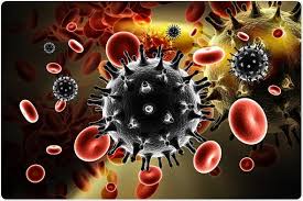 Hiv stands for human immunodeficiency virus. Hiv 1 Versus Hiv 2 What S The Difference