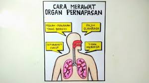 Buatlah sebuah poster htm pth dengan tm gmr membaca / buatlah sebuah poster htm pth dengan tm gmr membaca. Poster Tentang Cara Merawat Organ Pernapasan Buatlah Poster Tentang Cara Merawat Organ Dubai Khalifa