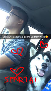 I've seen her a few times, is she nice? Like does she let people pet her?