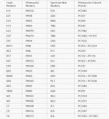 Copic Marker Conversion Chart Spectrum Noir Prismacolor