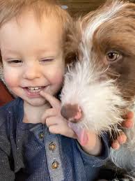 UPDATE: the homes lined up for Millie didn't work out due to timing so she  is still available! She's making lots of progress