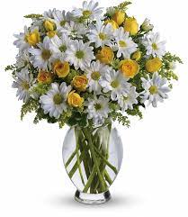 Check spelling or type a new query. Amazing Daisy Bouquet