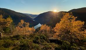 Årdal is a former municipality in rogaland county, norway. Bli Kjent Med Ardal Ditt Ardal