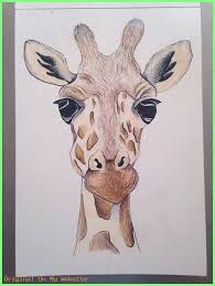 Mein Disney Zeichnen Zeichnen Skizzieren Strichmannchen Bleistiftzeichnung In 2020 Zeichnung Giraffen Zeichnen Bleistiftzeichnung
