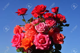 Check spelling or type a new query. Beautiful Bouquet Of Flowers Roses In The Garden On A Blue Sky Background A Lot Of Greenery And A Flower Bed Landscape Design Nature Perennial Plants Stock Photo Picture And Royalty Free