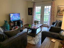 Grad Student Living Room Apartment Apartment Living Room Apartment Room Student Living