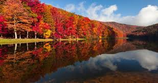 Vacation rentals available for short and long term stay on vrbo. 25 Best Lakes In Virginia